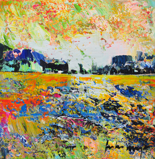 Peter Meijer + Coastline near Bergen